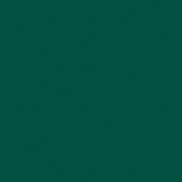 Спортивный линолеум Tarkett Omnisports R65 FOREST GREEN