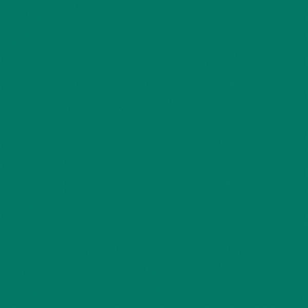 Спортивный линолеум Tarkett Omnisports Action 65 FOREST GREEN
