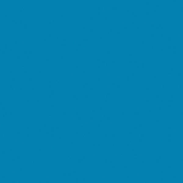 Спортивный линолеум Tarkett Omnisports Action 65 SKY BLUE