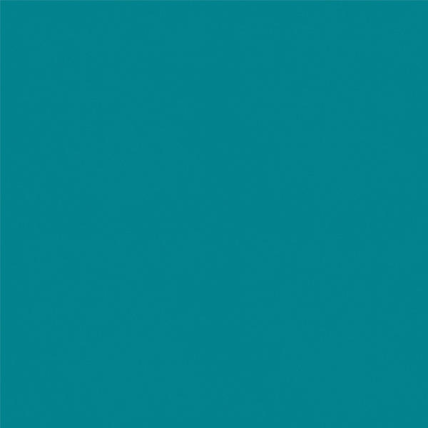 Спортивный линолеум Tarkett Omnisports Action 65 TEAL